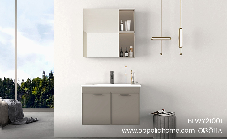 Gray Wall-mounted Bathroom Vanity Units