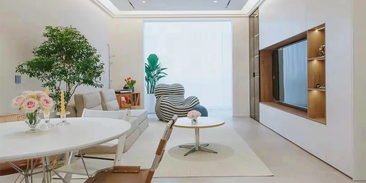 Minimalist Apartment Living Room