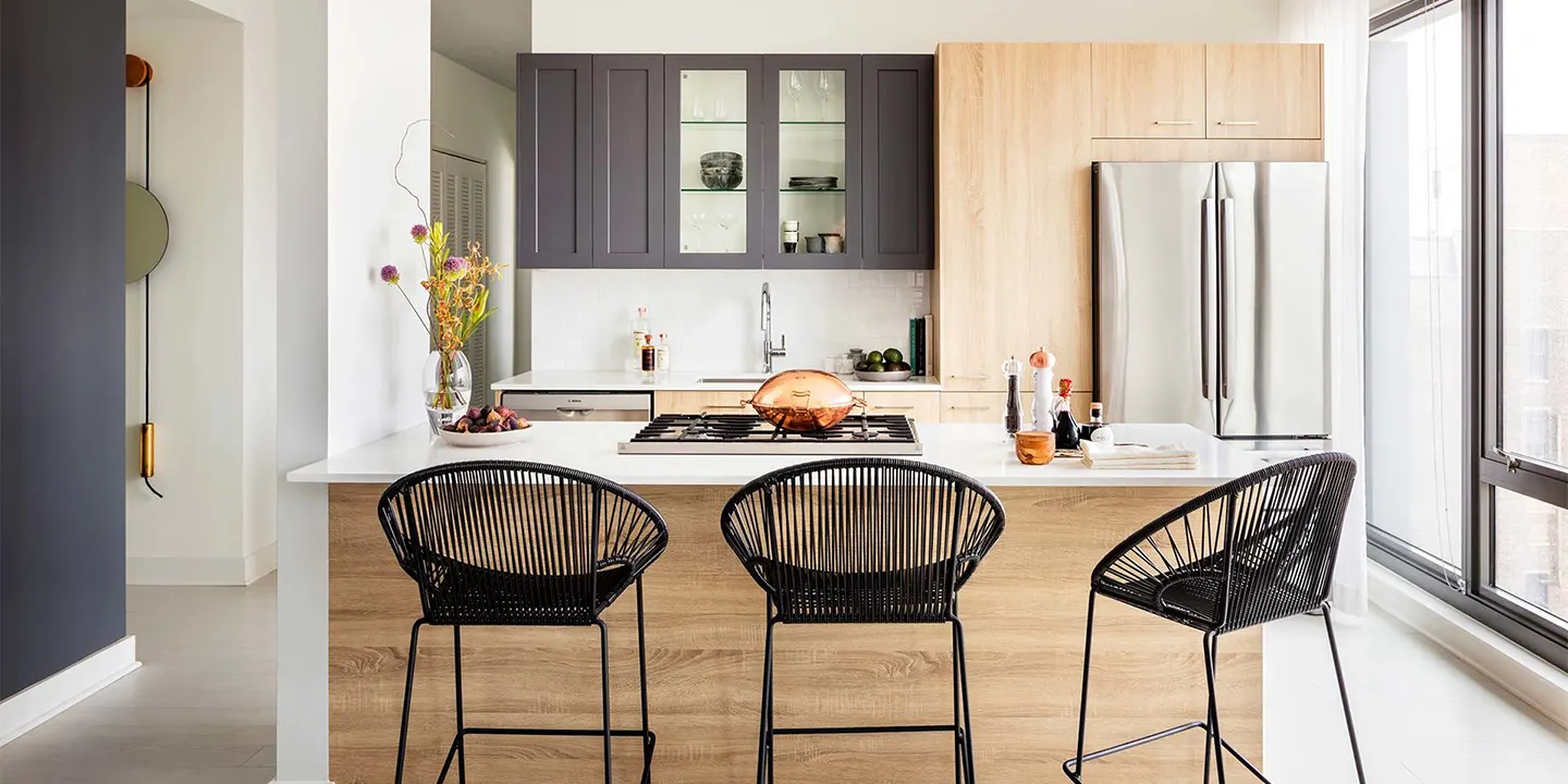 Kitchen Cabinets Chicago Luxury Apartment Project Kitchen Cabinets Chicago Luxury Apartment Project