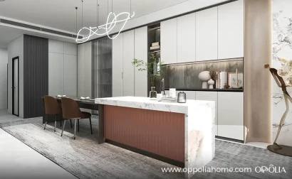 Contemporary Home Design with Custom Joinery