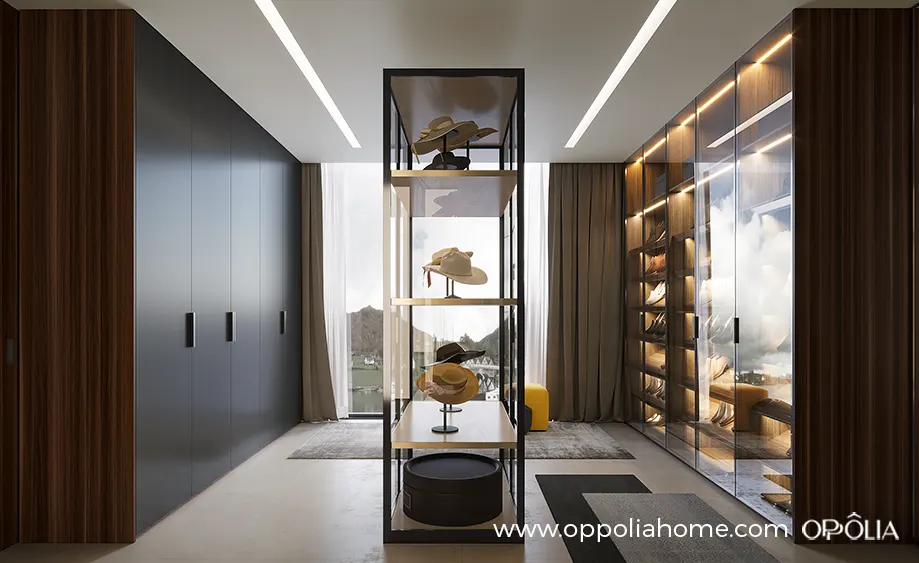Modern Luxury Closet in Dark Grey and Dark Wood