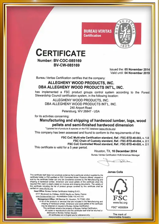 certificate1